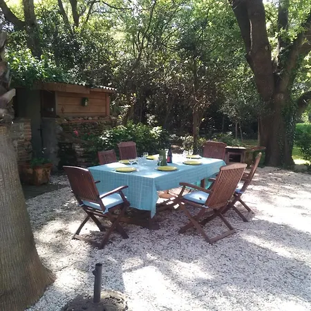 Mas Dix-neuvieme * Perpignan